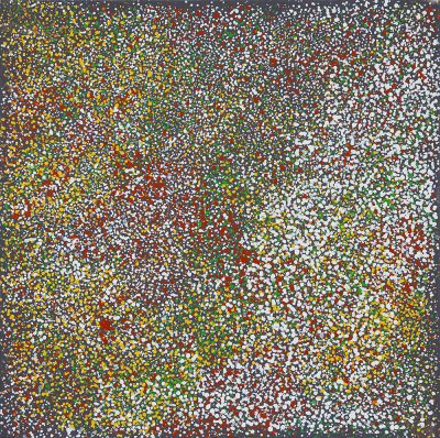 MYK02-23-Katunguru-walunyanganyi-Looking-down-from-above-Diane-Dawson
