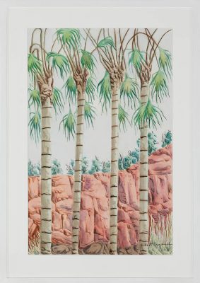ILT07-23-Alyape-Palm-Valley-NT-Hubert-Pareroultja