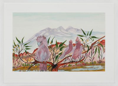 ILT06-23-Three-galahs-Vanessa-Inkamala
