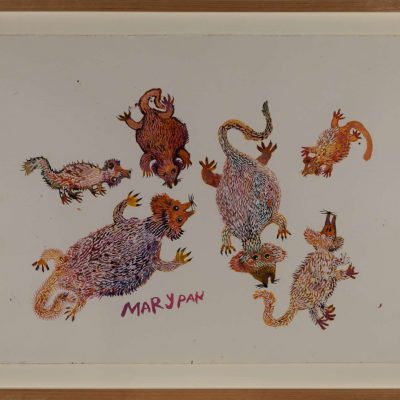 Animal Tjuta - Animals from Watarru