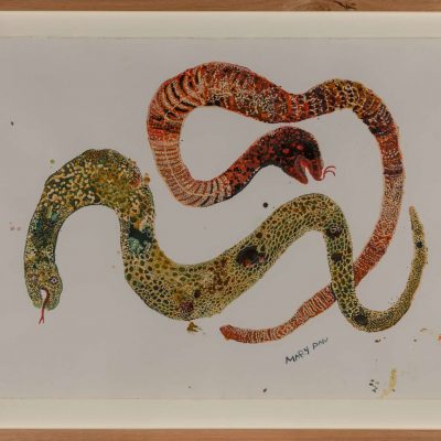 Animal Tjuta - Animals from Watarru