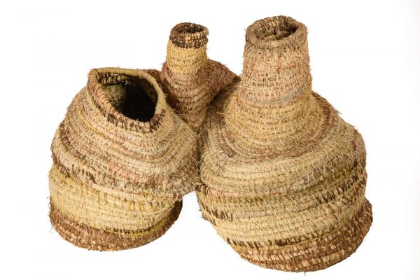 Purtingkatja - Pinirnpa (From the bush -  Anthill)