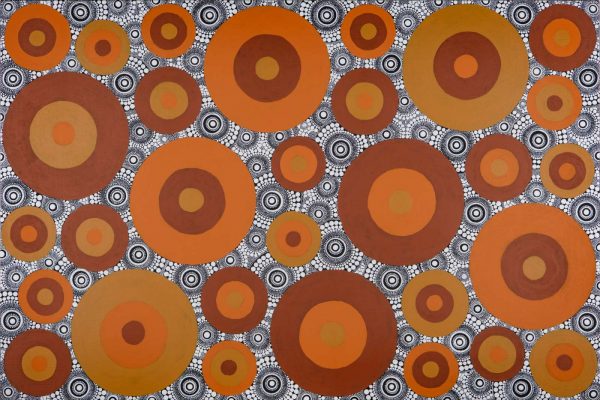 Rocks in the Simpson Desert