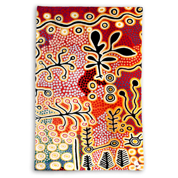 Paddy Japaljarri Stewart - Yam & Bush Tomato - Kilim (XL)